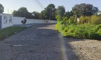 Imagem 2: 1200m² na região da noide