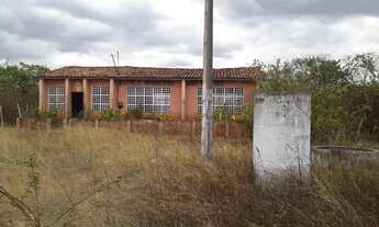 Imagem 2: Fazenda entre Paramoti e General Sampaio - 250ha. Oportunidade!