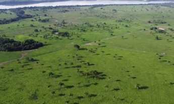 Imagem 2: Vendo fazenda de 415 alq em Ananás TO