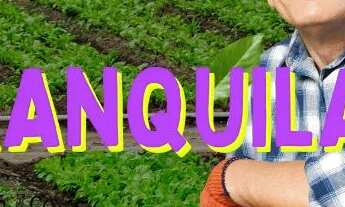 Imagem: Lotes no interior na beira do asfalto Cd