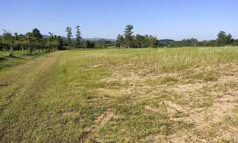 Imagem 3: Lote industrial na 2 de Dezembro