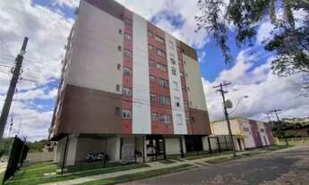 Imagem: Apto próximo a PUC