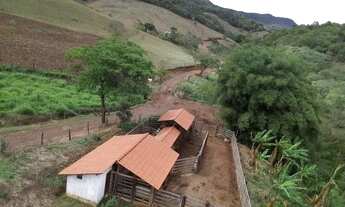 Imagem 2: FAZENDA QUELUZITO - 45 HECTARES - CASA - OTIMA TOPOGRAFIA