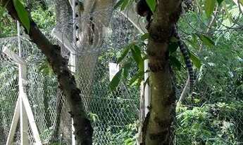 Imagem 5: Venda Casa com 3 dormitórios