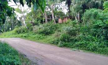 Imagem 3: Área com 3.500m² com vista e acesso ao mar