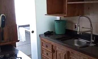 Imagem: SãO PAULO - Padrão - Horto do Ype