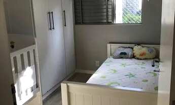 Imagem 4: SãO PAULO - Padrão - Jardim Marajoara