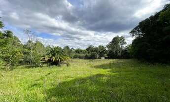 Imagem: Sítio De Barbada Só R$ 19.900 - E Ainda