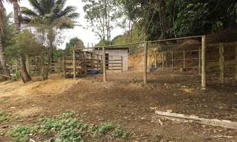 Imagem 6: Fazenda em Anchieta - ES