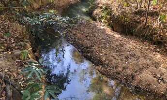 Imagem 2: Sítio de 5.000 metros com piscina e água nos Fundos