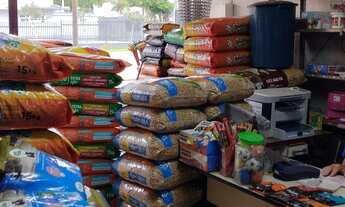 Imagem: Vendo aviário