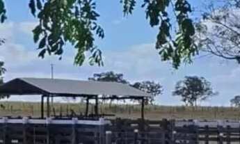 Imagem: Imóvel para venda possui 420 metros quadrados