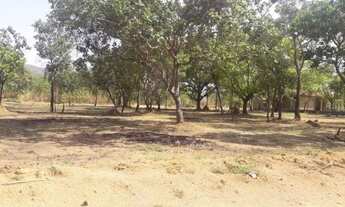 Imagem 2: CHÁCARA DE 2 MIL M²