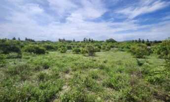 Imagem 3: Lote, Residencial, Santa Maria