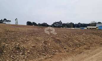 Imagem 4: Terreno com 30.000 m2 no distrito industrial de São Francisco de Paula