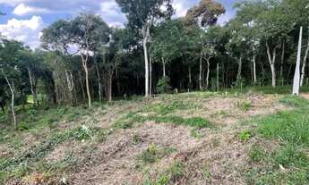 Imagem 3: Vendo lote na Peinha