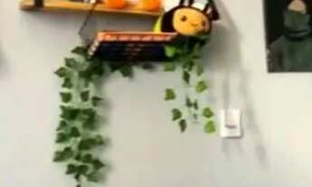 Imagem 6: Fortune 3 quartos liga 9 87 48 31 08 Diego9989f somente venda oportunidade Meireles cocó