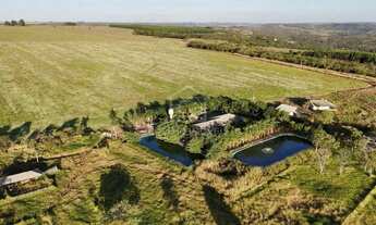 Imagem: ALEXANIA -GO FAZENDA COMPLETA 7,5 ALQUEIRES