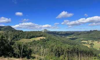 Imagem 7: Área Pinhal Alto- Nova Petrópolis/RS