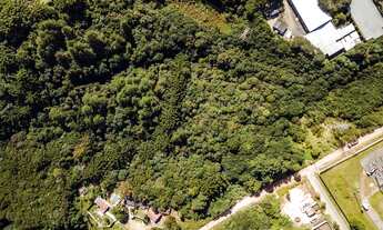 Imagem 3: Terreno no Abranches com 11.659 m²