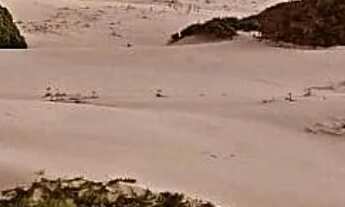 Imagem 4: Casa Nova Temporada praia do Saco e Caueira