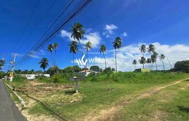 Imagem 3: Chance única! Terreno 1.560m² as margens da AL 101. Com 63m de testada de pista a 50m da p