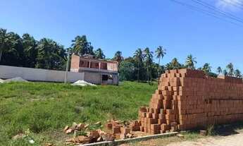 Imagem 7: Terreno localizado em Peroba, Maragogi!