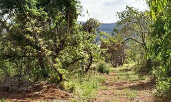 Imagem 3: Chácaras 1.000m² - Frente para o Asfalto