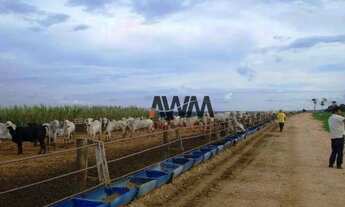 Imagem 6: Fazenda à venda, 21000 m² por R$ 450.000.000,00 - Novo Diamantino - Diamantino/MT