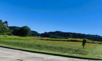 Imagem 3: Terreno à venda no Pinhal Alto. Nova Petrópolis RS. REF: 1706