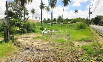 Imagem 6: Chance única! Terreno 1.560m² as margens da AL 101. Com 63m de testada de pista a 50m da p