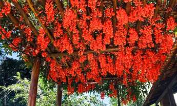 Imagem 2: Chácara para descanso Aparecida de Goiânia
