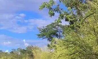 Imagem 5: Imóvel para venda tem 1000 metros quadrados em São José do Almeida - Jaboticatubas - MG