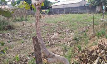 Imagem: Lote esquina