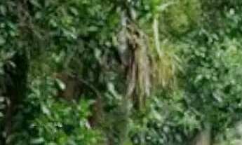 Imagem 3: LOCAÇÃO CASA C/ 2 SUÍTES