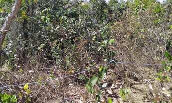 Imagem 6: VENDO OU TROCO CHÁCARA EM JABOTICATUBAS-MG