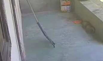 Imagem 3: Massagueira RGI VENDO aceito OFERTA