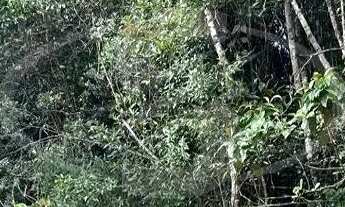 Imagem 3: TERRENO DE 1.702 M² EM EMBU-GUAÇU/SP