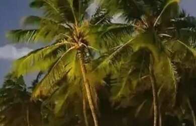 Imagem 3: Villaredo Barra - Rainha dos lotes