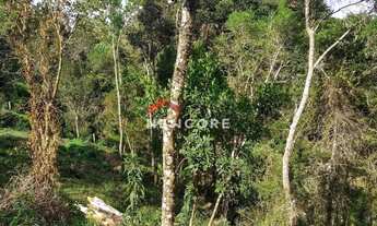 Imagem 6: Lote em Jardim Belvedere - Jd Belvedere - Campos do Jordão/SP