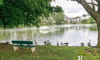 Imagem 5: Terreno à venda, 420 m² por R$ 2.700.000,00 - Swiss Park - São Bernardo do Campo/SP