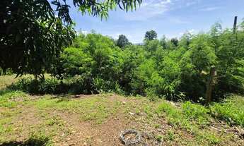 Imagem 6: Vendo lote comercial TO 050