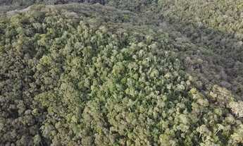 Imagem 6: Chácara 63.000 m em Campo Magro- Paraná