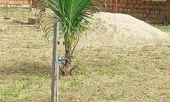 Imagem 4: Transfiro/vendo terreno em condomínio fechado