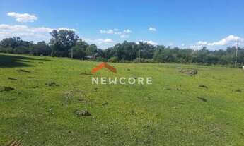 Imagem 2: Chácara em Criúva (caxias do Sul) - Criúva - Criúva/RS