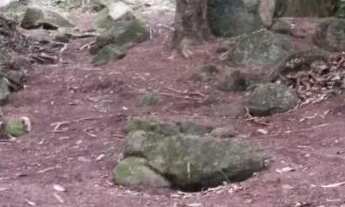 Imagem 4: Imóvel para venda tem 1310 metros quadrados em Camorim - Rio de Janeiro - RJ