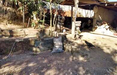 Imagem 7: Chacara em São lourenço da Serra