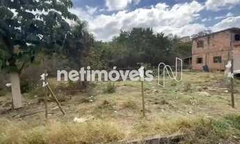 Imagem 4: Venda Lote-Área-Terreno Palmeiras (Parque Durval de Barros) Ibirité