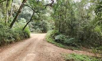 Imagem 2: Chácara com 6,1 alqueires Marmeleiro - Almirante Tamandaré