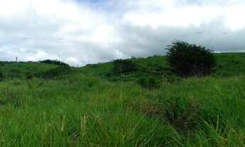 Imagem 7: Fazenda 85 alqueires abel figueiredo pará